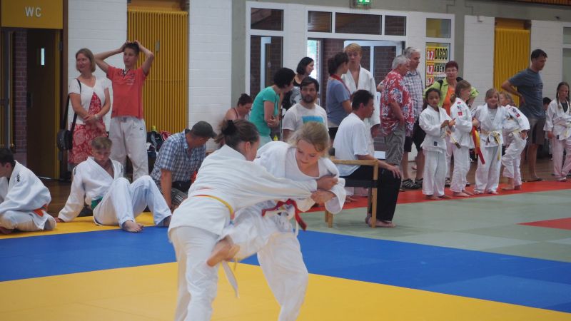 tl_files/judoka_stade/2015/Bilder/Bundesliga/Frauen_Maenner/2015 07 himmelpforten.jpg